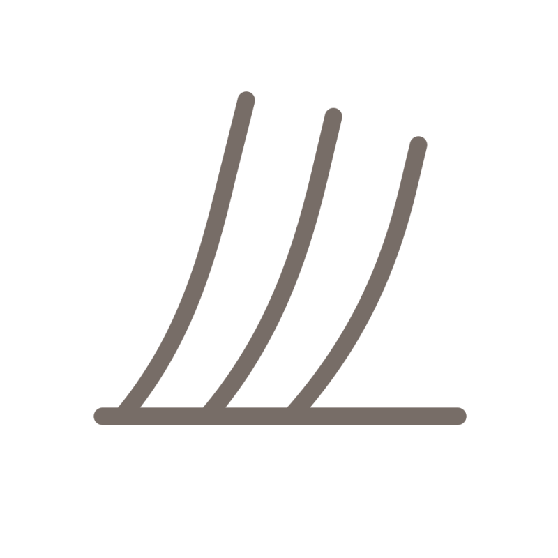 Black Lash